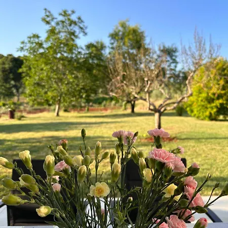 Pancur Διαμέρισμα Πόρετς